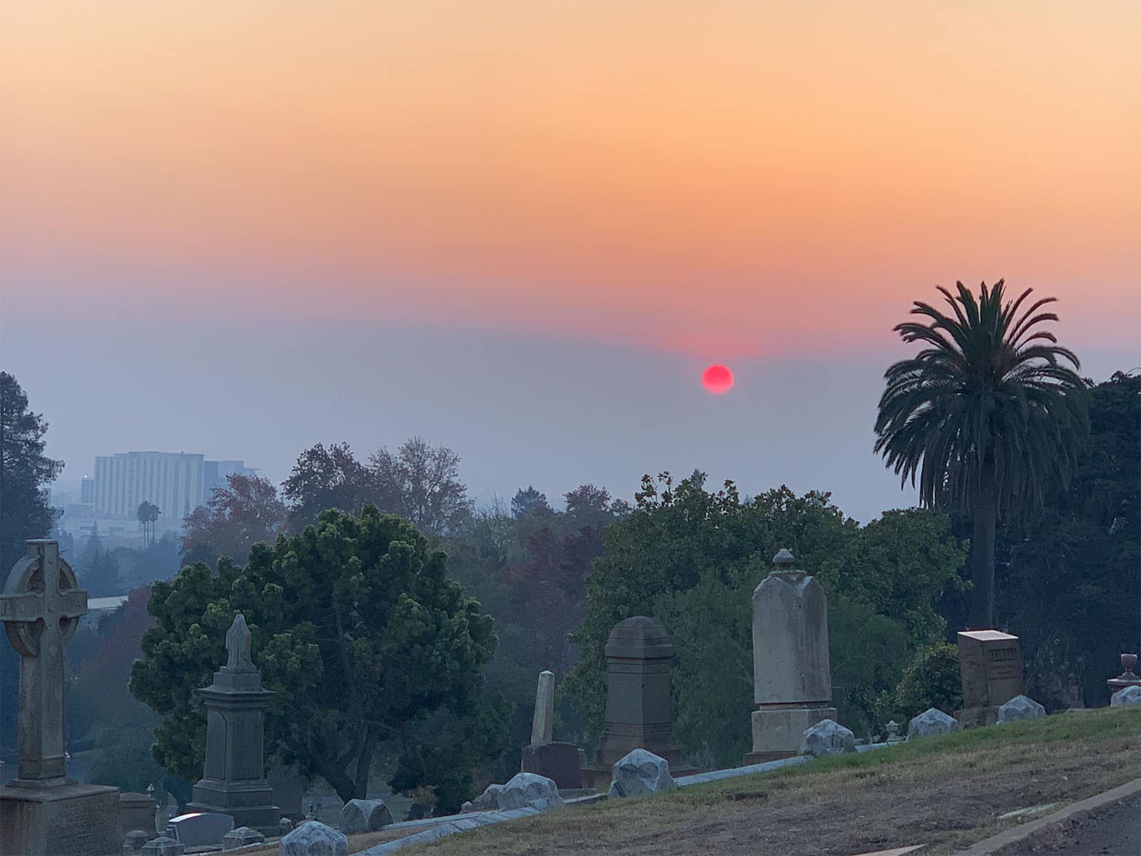 Oaklands Sunset Market - Help Oaklands Sunset Market become zero