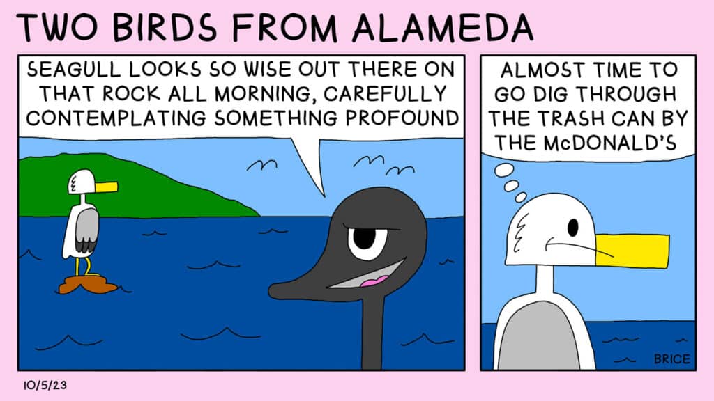Alameda Post – Two Birds from Alameda for October 5, 2023: First panel: Seagull stands on a rock in the middle of the ocean and looks out over the water. Goose watches Seagull and says to themself, “Seagull looks so wise out there on that rock all morning, carefully contemplating something profound.” Second panel: A close up of Seagull who is thinking to themself, “Almost time to go dig through the trash can by the McDonald’s.”
