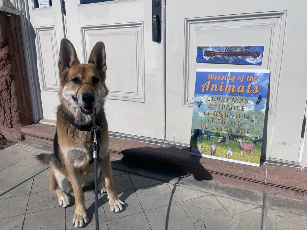 Alameda Post - Bear's-Eye View of Alameda for October 8, 2023 – Mouf stopped by the blessing of the animals