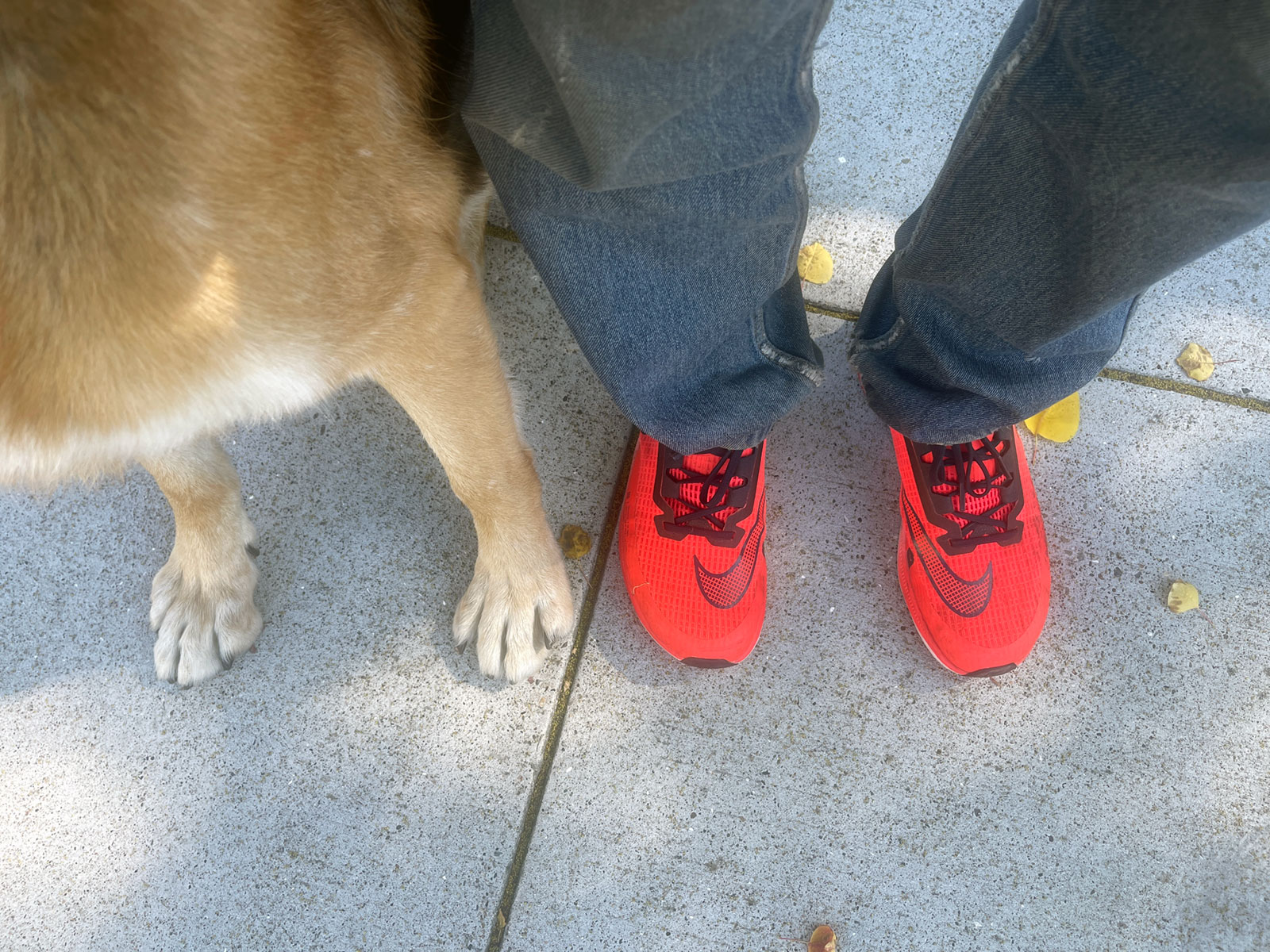 A4-Shoes.jpg