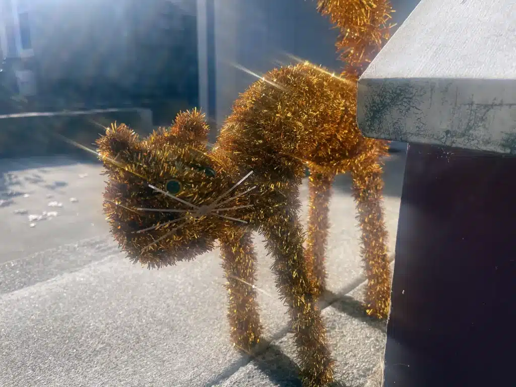 Alameda Post - Bear's-Eye View of Alameda for October 8, 2023 – A cat Halloween decoration 