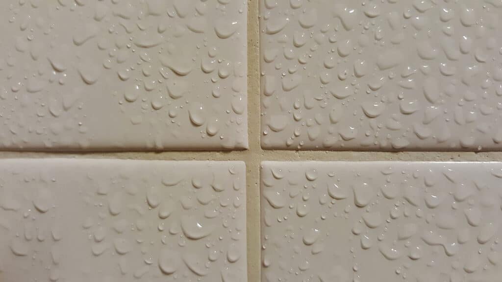 Alameda Post - white tile shower walls with beige grout 