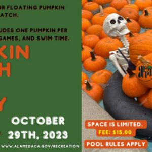 Alameda Post - Public Patch Pool Party Poster
