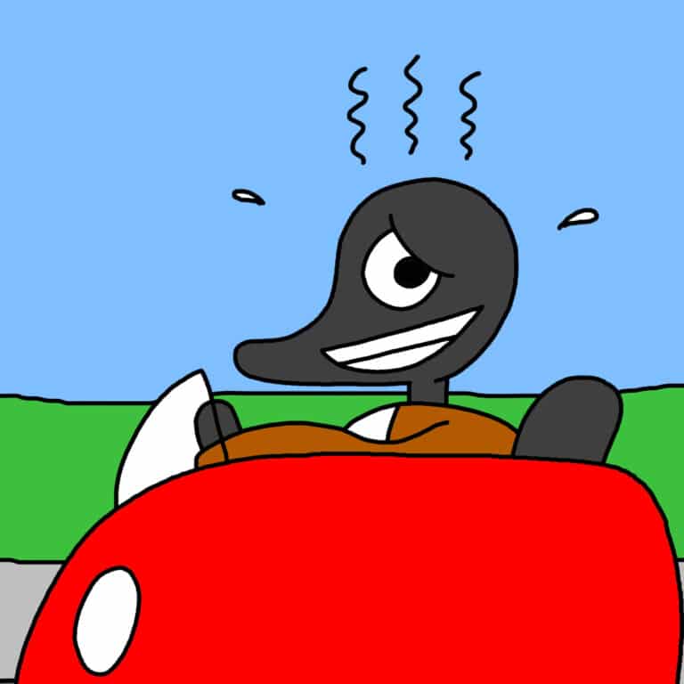 Alameda Post - Goose from Two Birds from Alameda in a car looking embarrassed