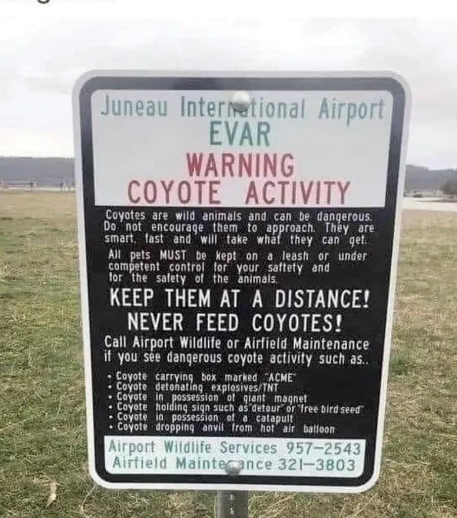 Alameda Post - Bear's-Eye View of Alameda for November 12, 2023 – watch out for coyotes sign at Juneau, AK airport