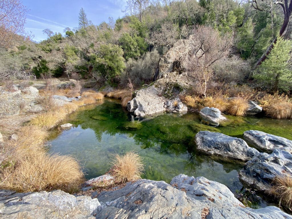 Alameda Post - a swimming hole at Henry W. Coe State Park