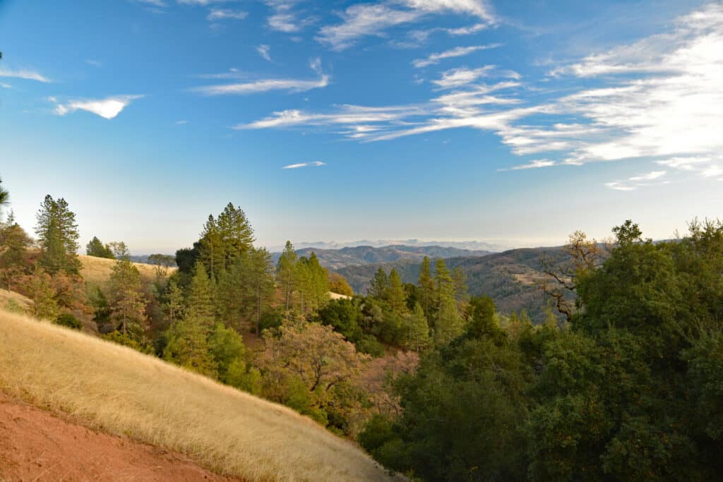 Alameda Post - the landscape at Henry W. Coe State Park