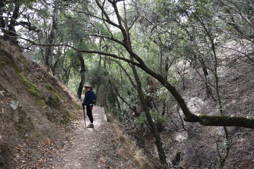 Alameda Post - a hiker on a trail at Henry W. Coe State Park