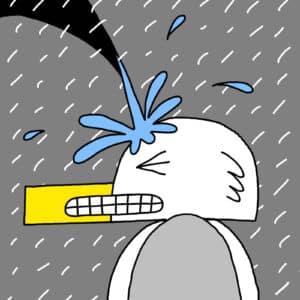 Alameda Post - Seagull from Two Birds of Alameda gets splashed with water