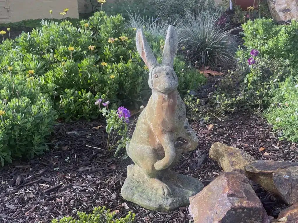 Alameda Post - Bear's-Eye View of Alameda for January 28, 2024. A rabbit garden sculpture