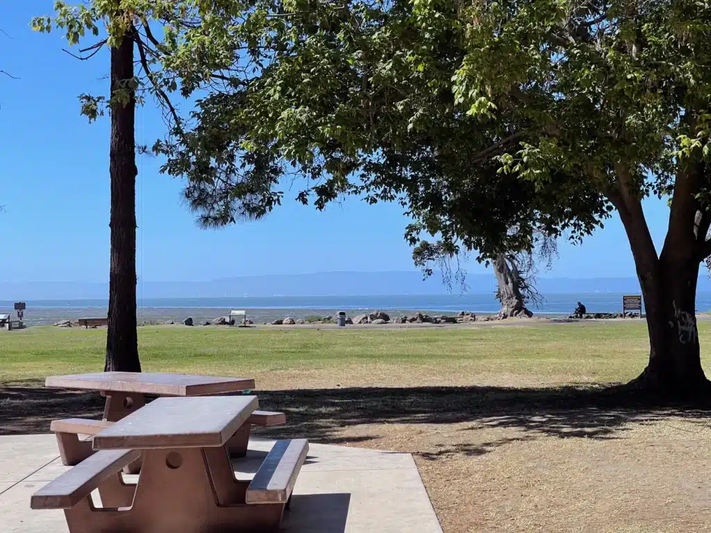 Alameda Post - Crab Cove