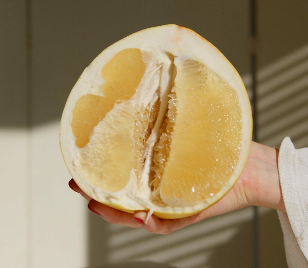 Alameda post - a hand holding a pomelo