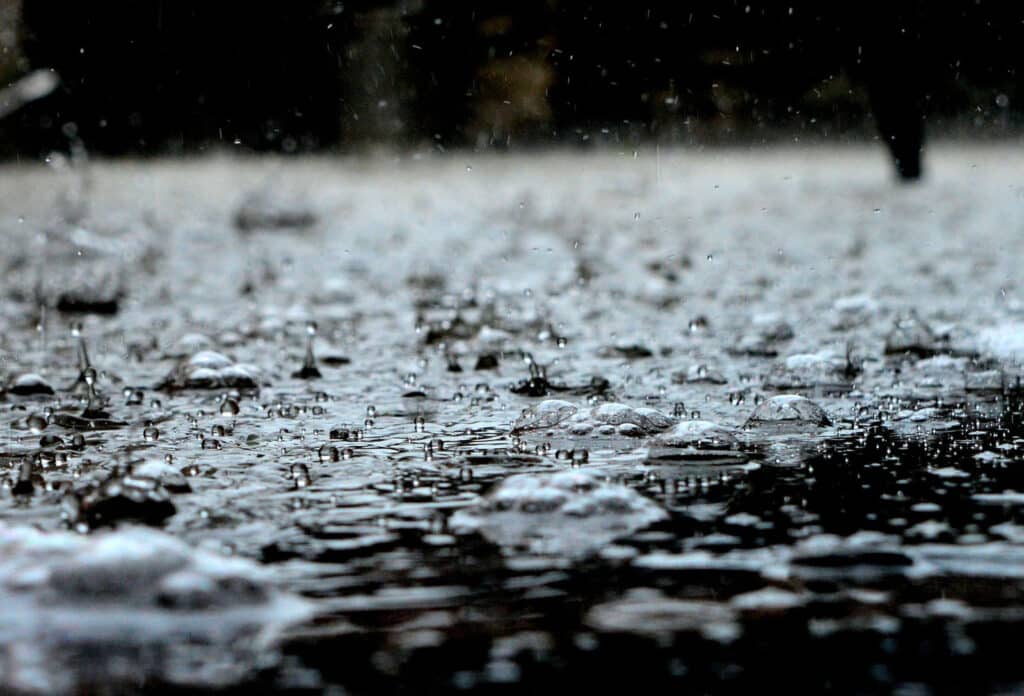 Alameda Post - rain on the ground