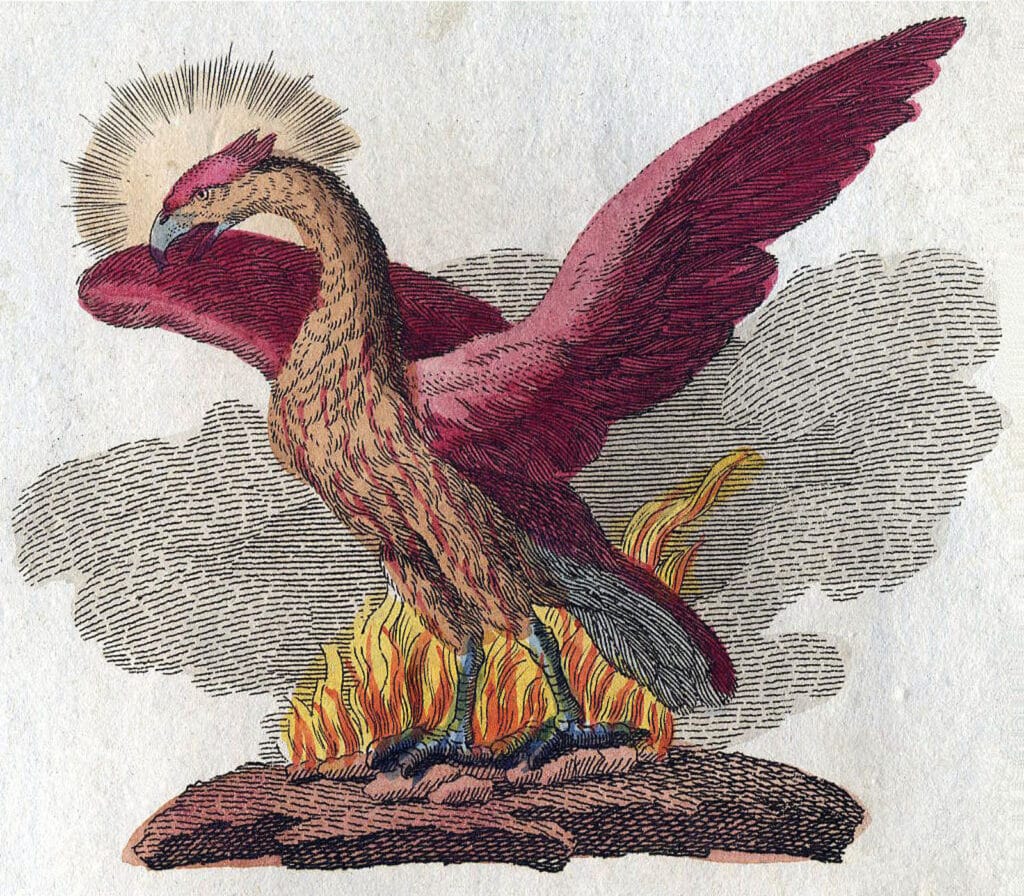 Alameda Post - a phoenix