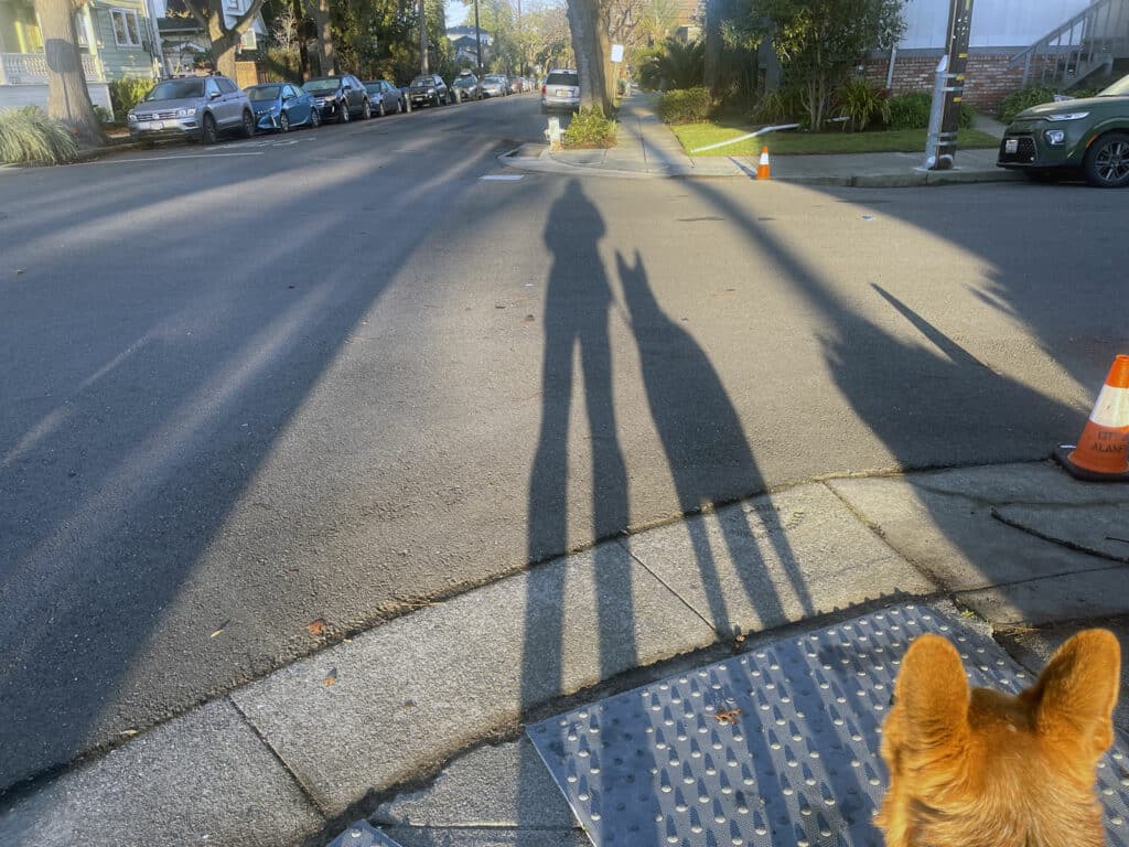Alameda Post - Bear's-Eye View of Alameda for February 11, 2024. Mouf and his human companion cast a long shadow