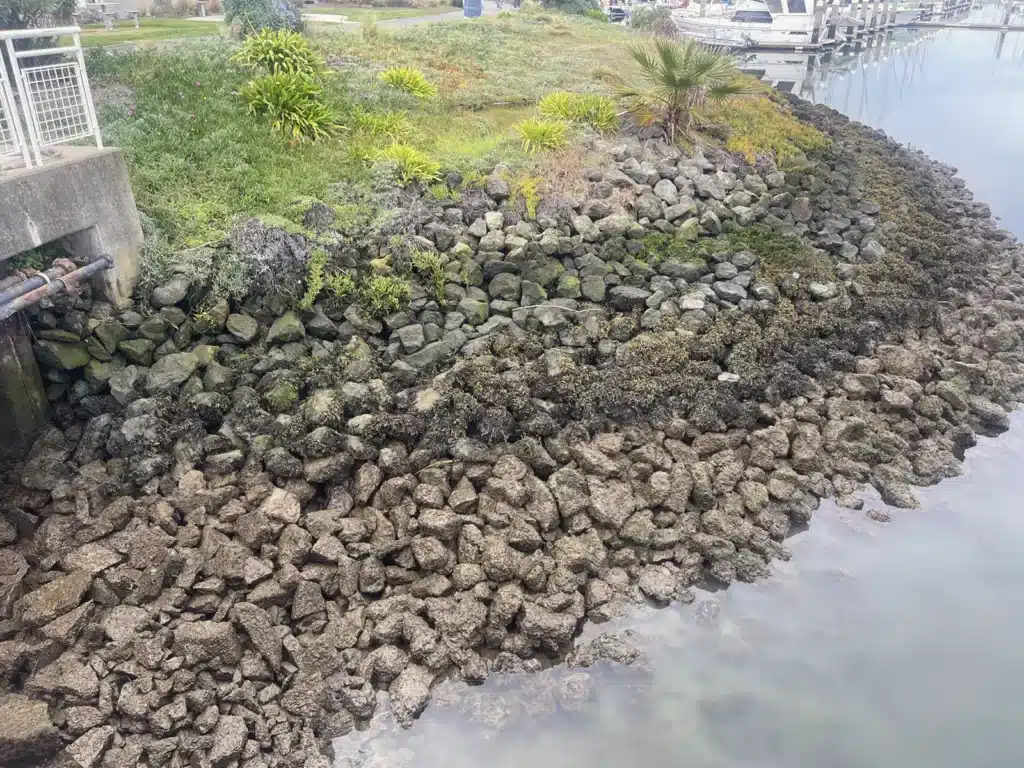 Alameda Post - Bear's-Eye View of Alameda for February 18, 2024. Striations along the coastline