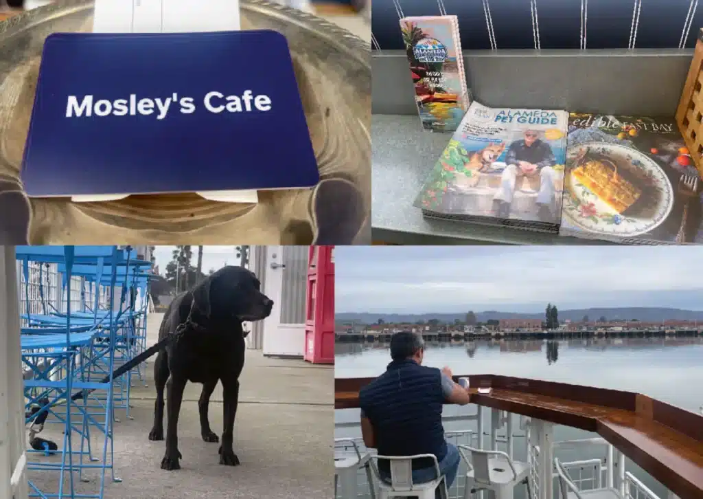 Alameda Post - Bear's-Eye View of Alameda for February 18, 2024. Mosley's Café