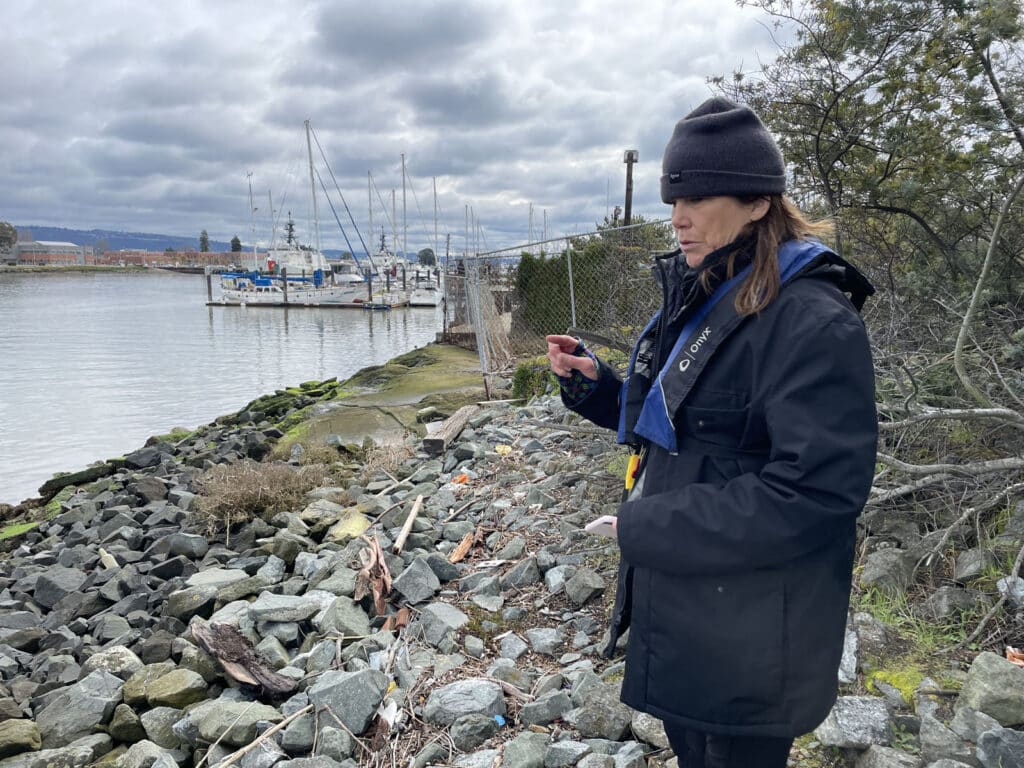 Alameda Post - a woman stands on the shoreline and talks