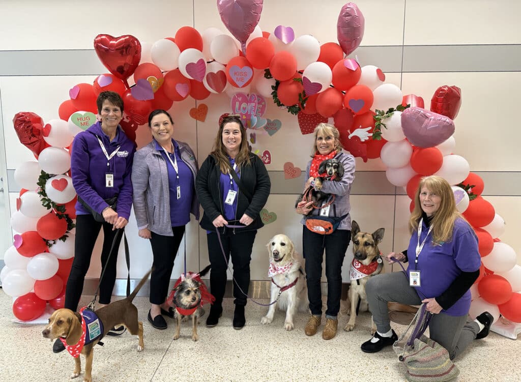 Alameda Post - the Canine Comfort Pet-Assisted Therapy team, humans and dogs