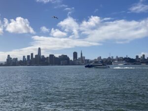 Alameda Post - the SF Bay Ferry in front of San Francisco