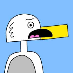 Alameda Post - Seagull from Two Birds from Alameda looks distraught