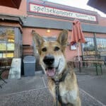 Alameda Post - Bear's Eye View of Alameda for March 3, 2024. Mouf visits Speisekammer restaurant