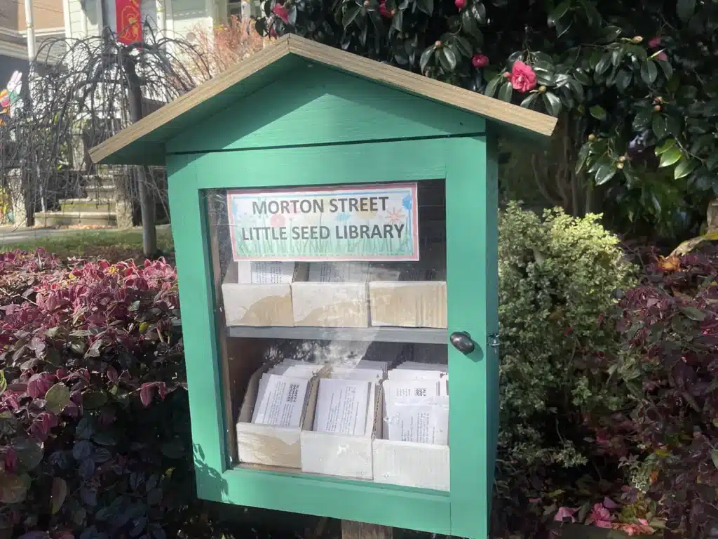 Alameda Post - The little seed library on Morton Street.