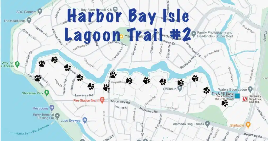 Alameda Post- Bear's-Eye View tour of the Harbor Bay Isle Lagoon trail #2