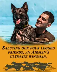 Alameda Post - Celebrating canine veterans