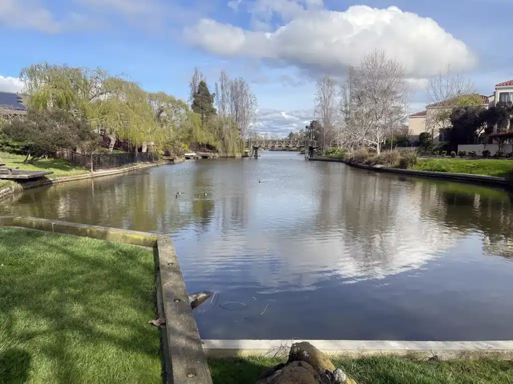 Alameda Post - Bay Farm Island lagoon