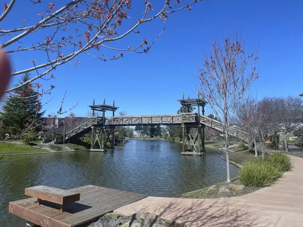 Alameda Post - one of the bridges over the Harbor Bay lagoons