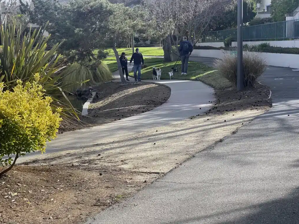 Alameda Post - exploring the walking trail with dogs