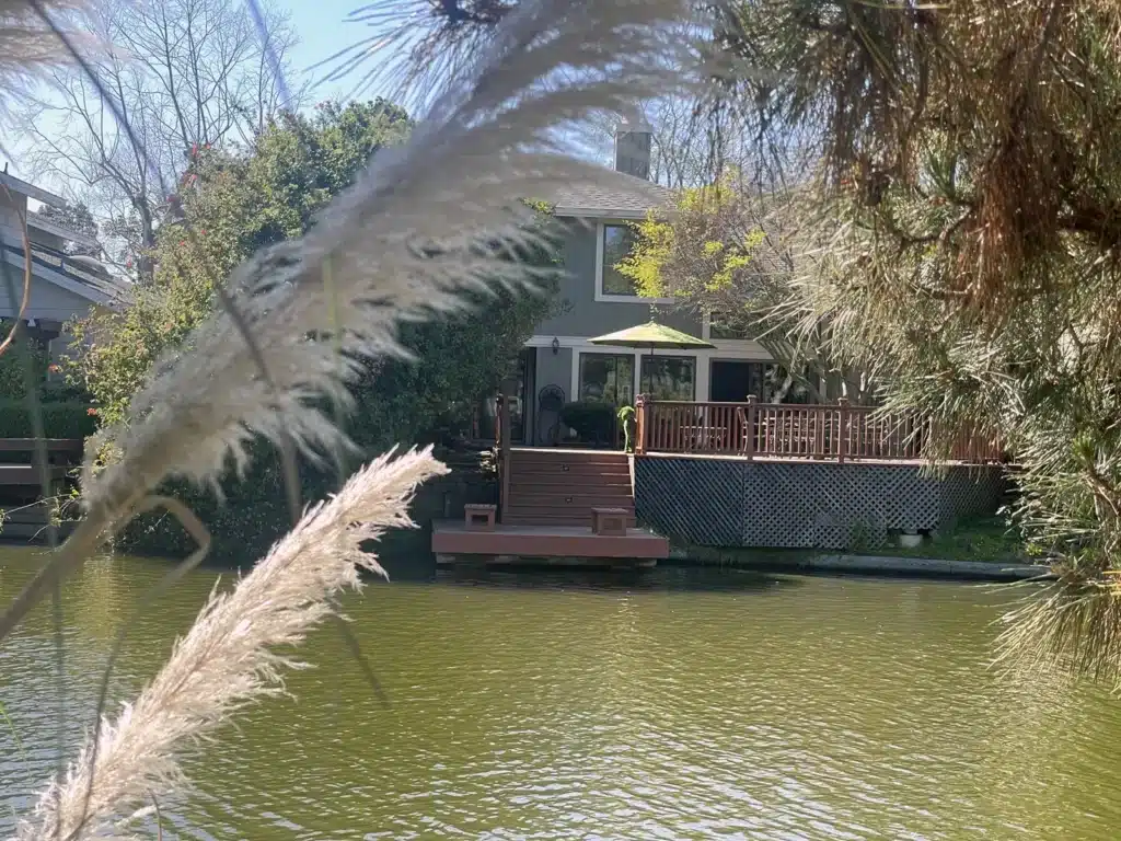 Alameda Post - a house featuring a topiary shaped like a dog
