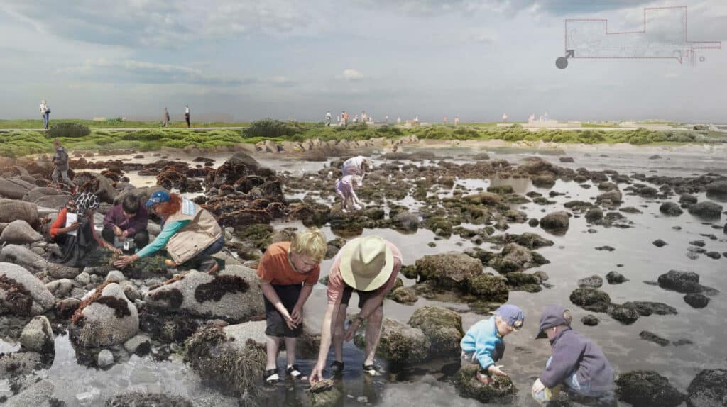 Alameda Post - an artist rendering of De-Pave Park. Visitors examine the wildlife at low tide