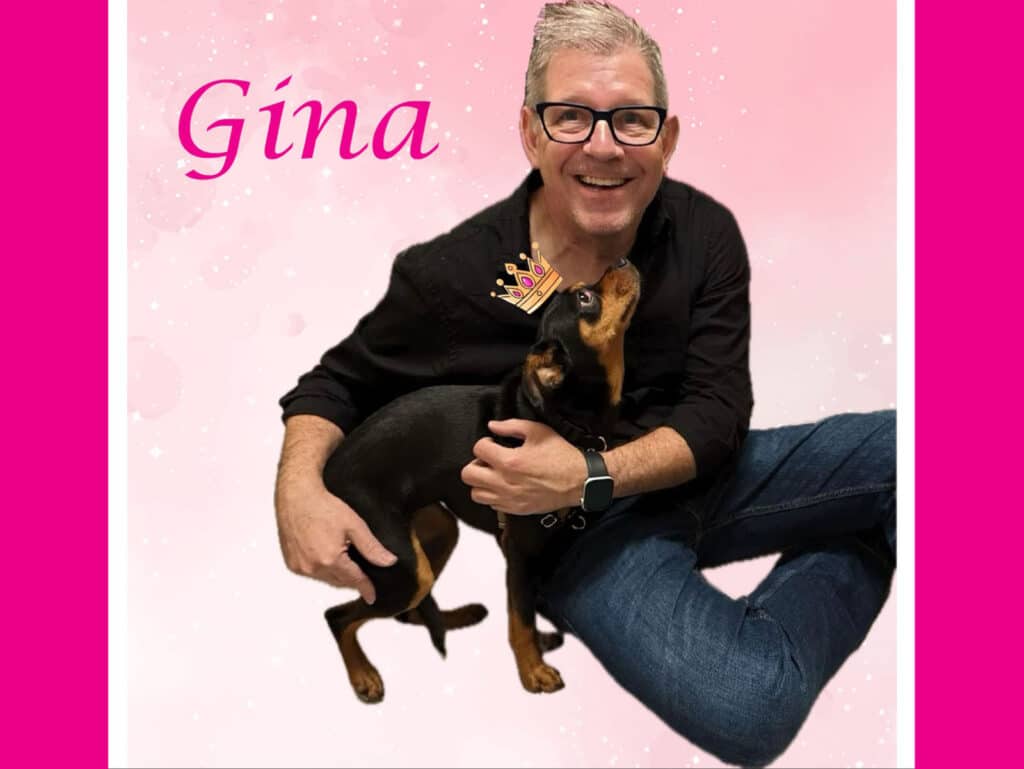 Alameda Post - Gina the adoptable dog with a cartoon Tiara
