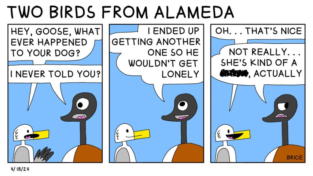 Alameda Post: Two Birds from Alameda for April 18, 2024. First panel: Seagull and Goose are talking. Seagull asks, "Hey Goose, what ever happened to your dog?" Goose replies, "I never told you?" Second panel: Goose says, "I ended up getting another one so he wouldn't get lonely." Third panel: Seagull says, "Oh... that's nice." Goose says, "Not really... she's kind of a blank actually." In place of the word blank is a large black scribble crossing out whatever word is underneath.