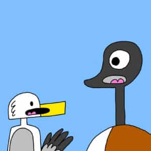 Alameda Post - Seagull and Goose from Two Birds from Alameda speak with each other