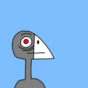 Alameda Post - Old Coot from Two Birds from Alameda