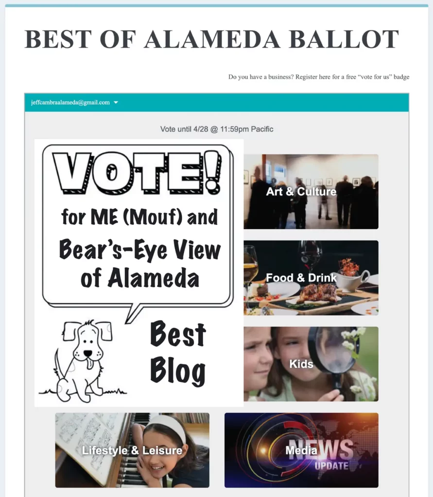 Alameda Post - Vote for Bear's Eye View for Best Blog