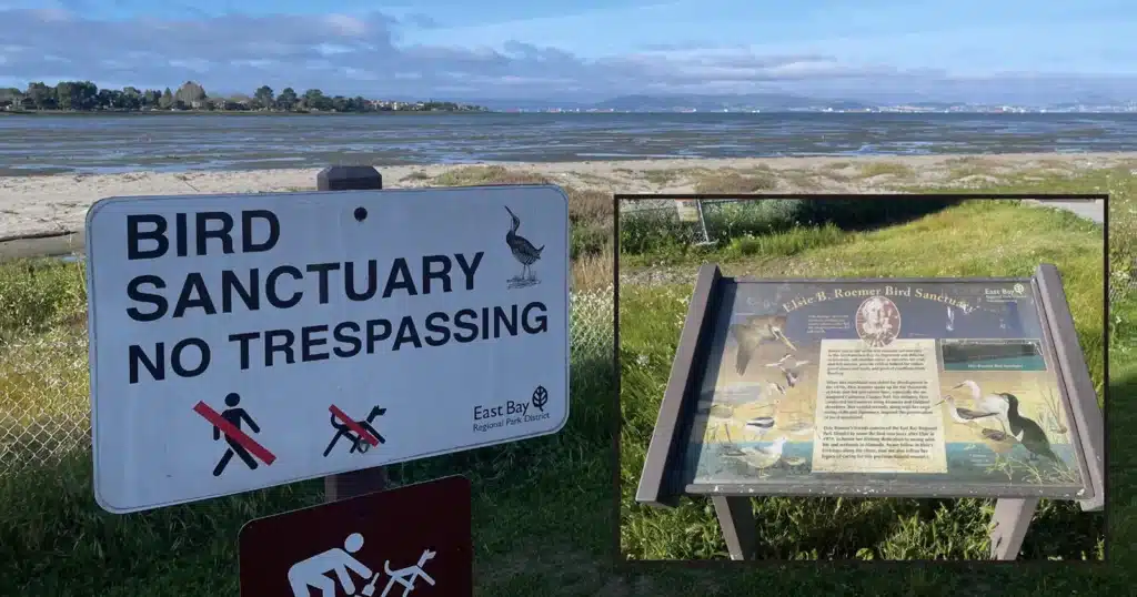 Alameda Post - No Trespassing sign at the bird sanctuary