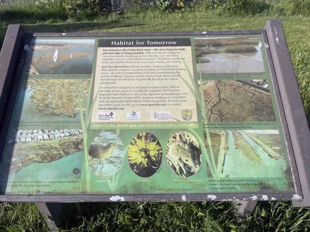 Alameda Post - interpretive plaque at Elsie Roemer Bird Sanctuary