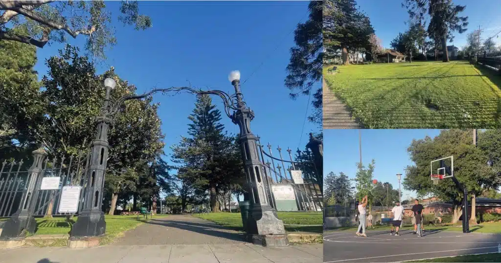 Alameda Post - Views of Lincoln Park