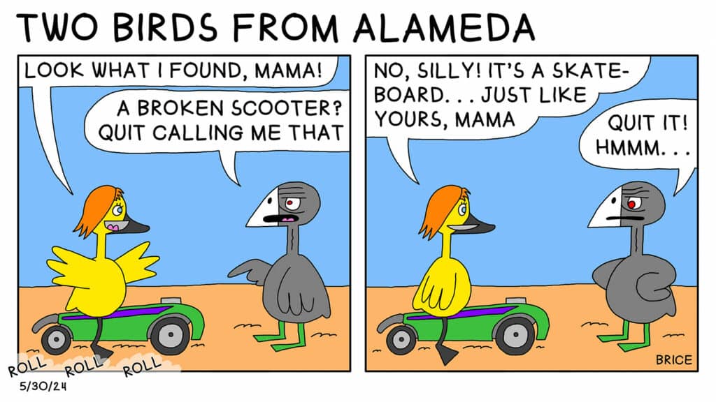 Alameda Post - Two Birds From Alameda for May 30, 2024. First panel - a gosling with long red hair rolls into the frame on what looks like a broken scooter with no handlebars. The gosling says to Old Coot, "Look what I found, Mama!" Old Coot responds, "A broken scooter? Quit calling me that." Last panel – the gosling says, "No, silly, It's a skateboard… just like yours, Mama." Old Coot, with wings folded as if they were hands on hips, replies, "Quit it! Hmm…"