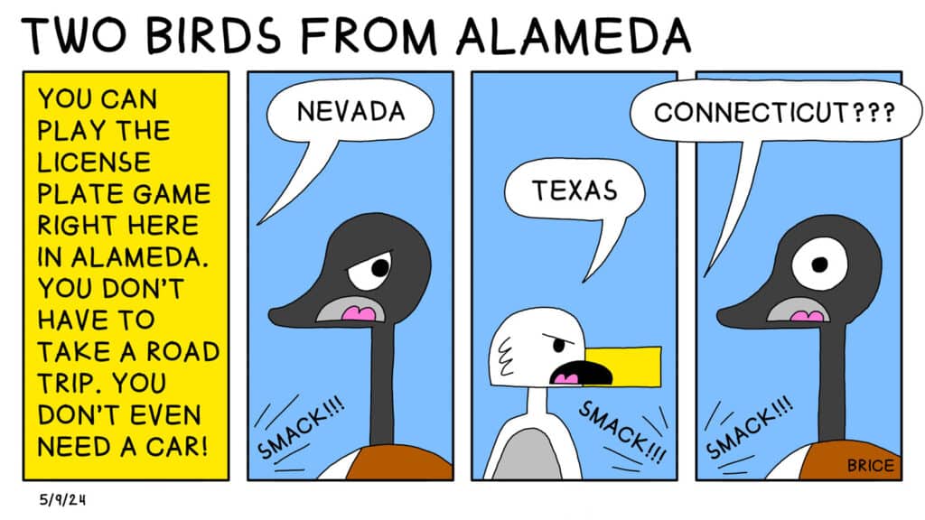 Alameda Post - Two Birds from Alameda for May 9, 2024. First panel: All text saying, "You can play the license plate game right here in Alameda. You don't have to take a road trip. You don't even need a car." Second panel: A word across the panel says, "smack!!!" Goose looks irked. Out of view, Seagull says, "Nevada." Third panel: A word across the panel says, "smack!!!" Seagull has a furrowed brow and says, "Texas." Fourth and final panel: A word across the panel says, "smack!!!" Goose looks surprised, and Seagull says from out-of-view, "Connecticut???"