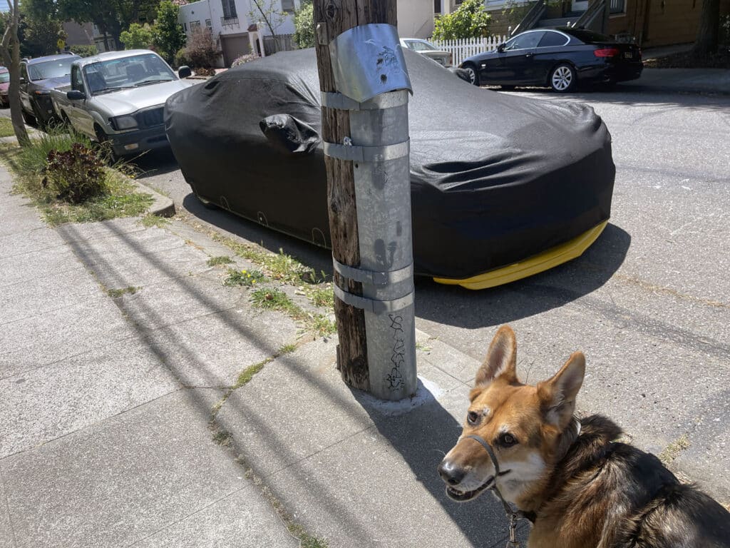 Alameda Post - Mouf learns what these metal shims are for