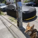 Alameda Post - Mouf learns what these metal shims are for