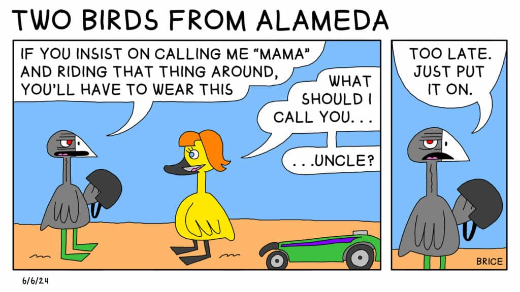 Alameda Post - Two Birds from Alameda for June 6, 2024 - Panel one: Old Coot, holding a helmet, stands next to the young gosling, now much bigger and longer hair than previous cartoons, standing next to a scooter. Old Coot says, "If you insist on calling me "Mama" and riding that thing around, you'll have to wear this." The gosling replies, "Should I call you… Uncle?" Panel two: Old Coot, still holding the helmet, has an exasperated expression while saying, "Too late. Just put it on."