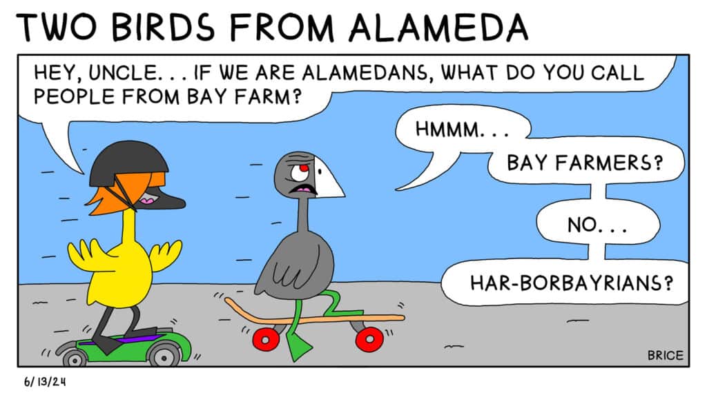 Alameda Post - Two Birds from Alameda for June 13, 2024. Only panel: A bright yellow bird youngster riding a skateboard says, "Hey, Uncle... If we are Alamedans, What do you call people from Bay Farm?" Old Coot, who is also on a skate board, replies, "Hmm... Bay Farmers? No... Har-borbayrians?"