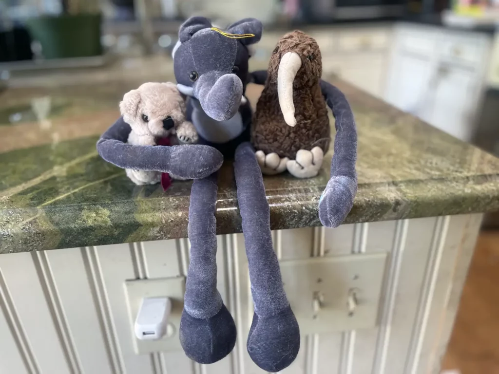 Alameda Post - Stuffed animals that Mouf has found to donate to FAAS