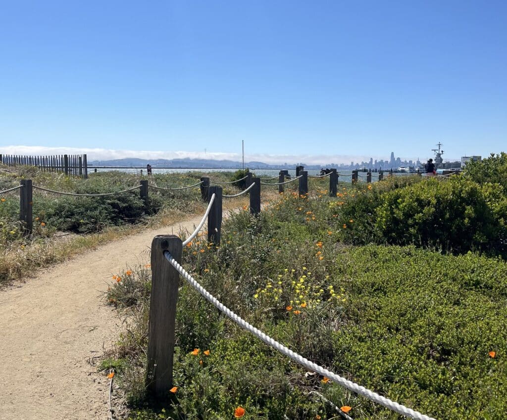Alameda Post - A walkway leading to the ocean with poppies growing on either side. 